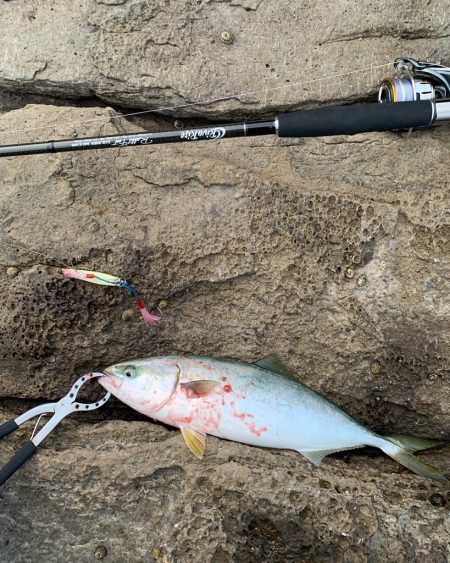 久しぶりロックショアで反省