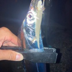 2022ライトゲーム第41戦