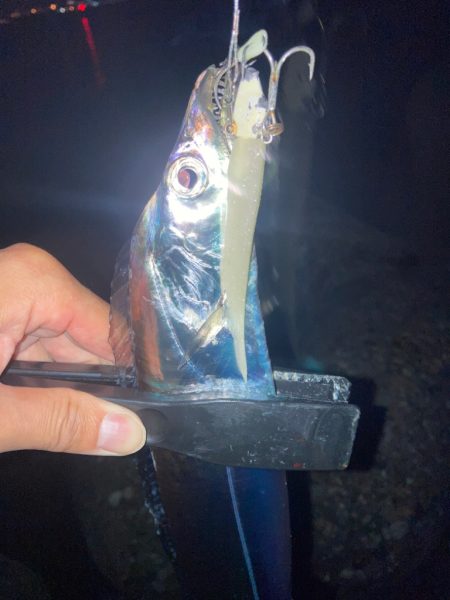 2022ライトゲーム第41戦