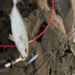 初　磯釣り