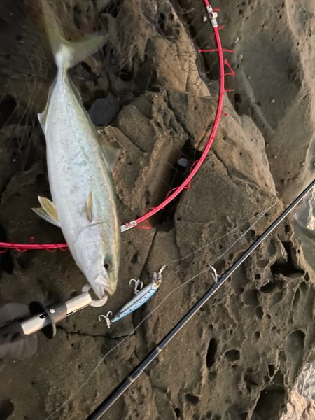 初　磯釣り