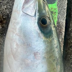 フラット！！！