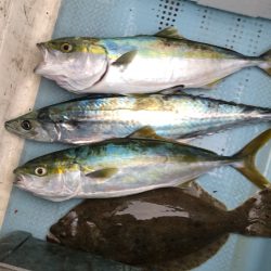 ジギングで三目達成！