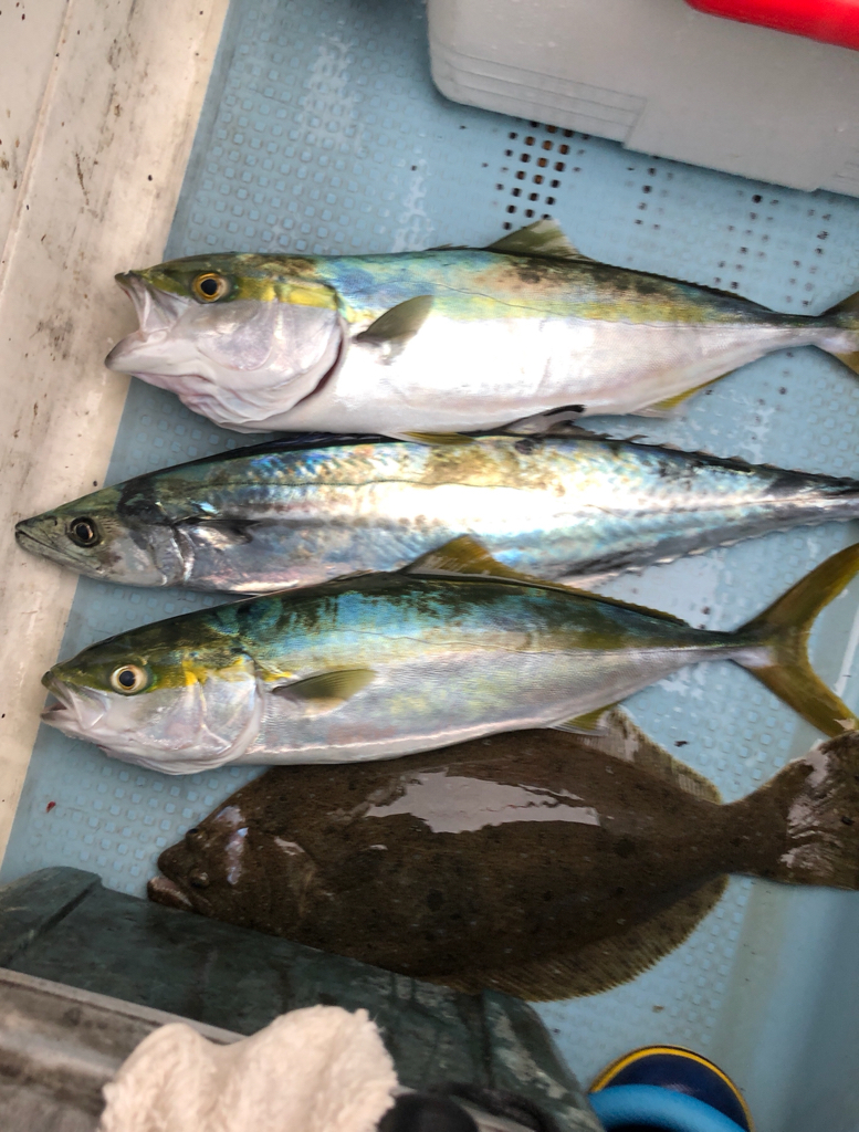 ジギングで三目達成！