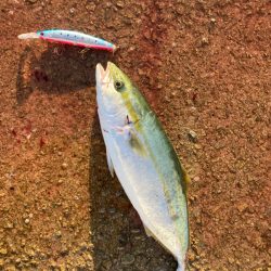 ⭐︎セットアッパーに軍配あり…