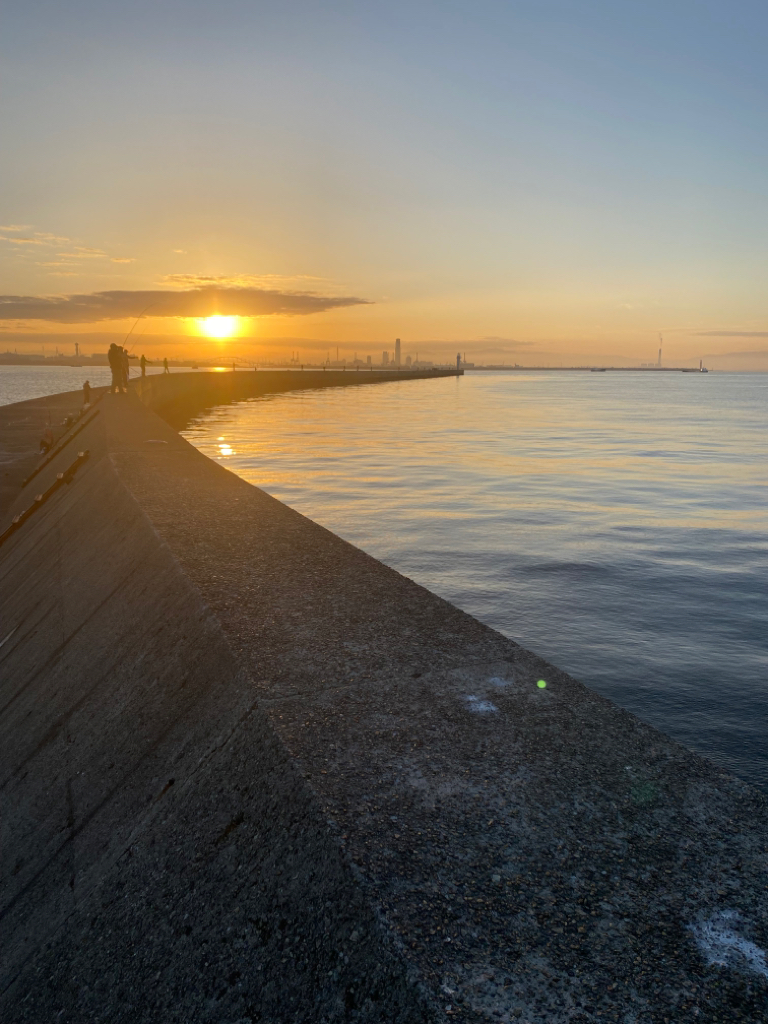 ノマセでメジロ