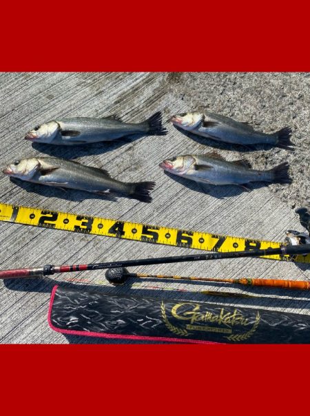 釣り開始から風が強く吹き