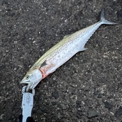 爆風に押され…