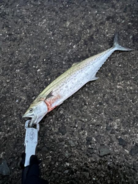 爆風に押され…