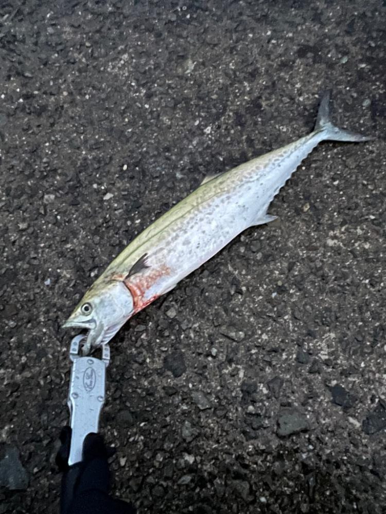 爆風に押され…