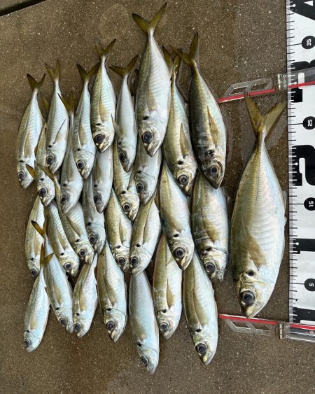 ボートアジング