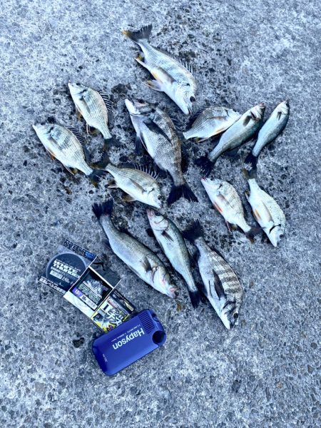 釣り始めは水深が低く魚が寄りにくい展開