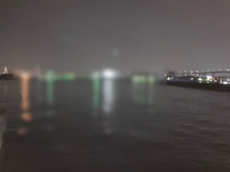 仕事帰りにアジング