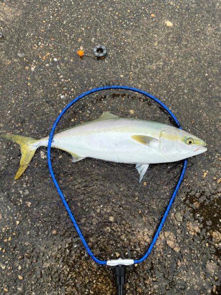 雨の中呑ませリベンジ