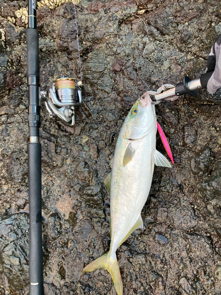 青物ってこんなに引くんだなぁ