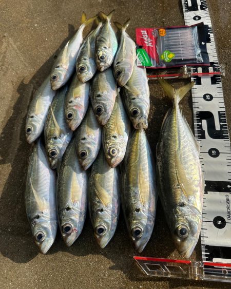 マズメチャレンジ