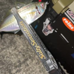 アジングナイト