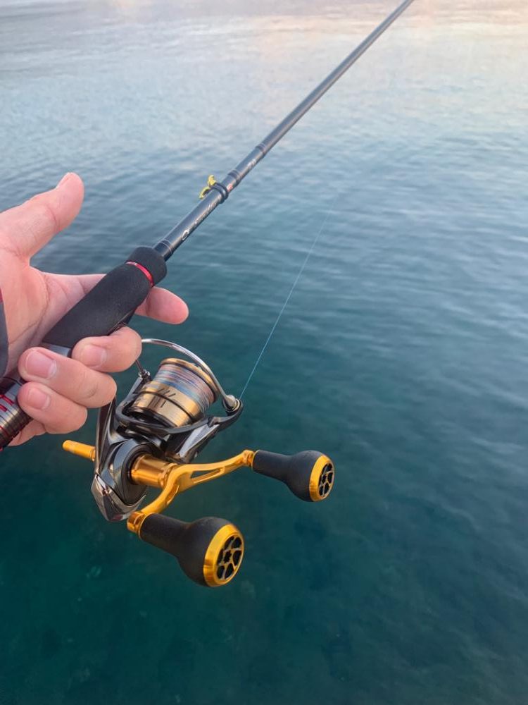 やっぱりエギング最高!