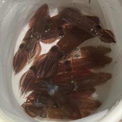 サイズが良くなってきた☆