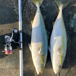 エレベーターで2本来ました🐟…