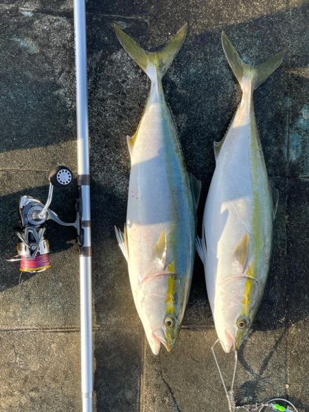 エレベーターで2本来ました🐟…