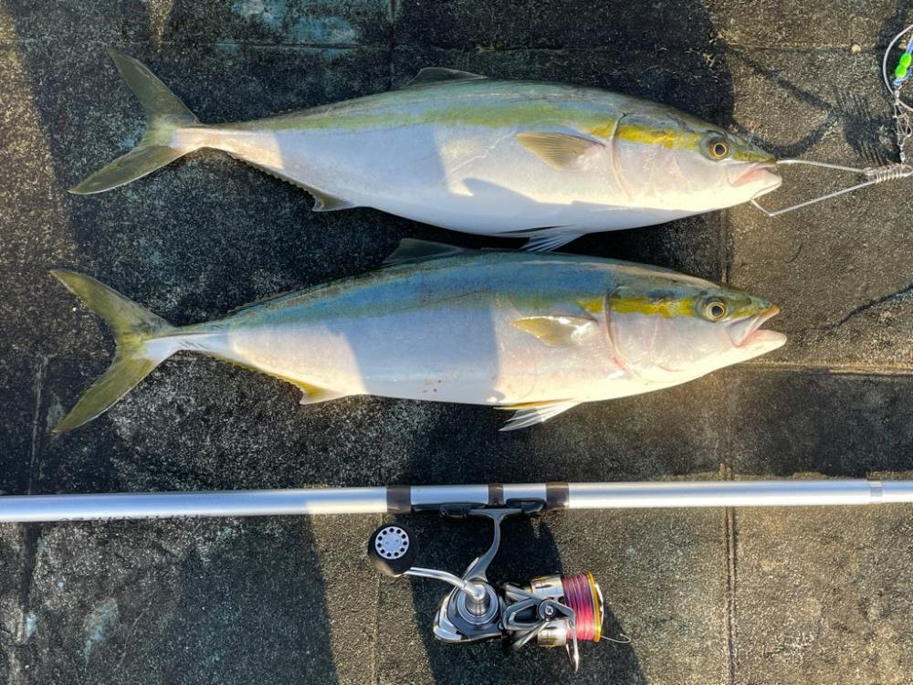 エレベーターで2本来ました🐟🐟