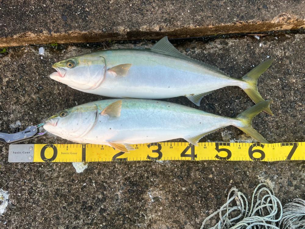 エサ確保困難お