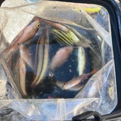 昼からのんびり