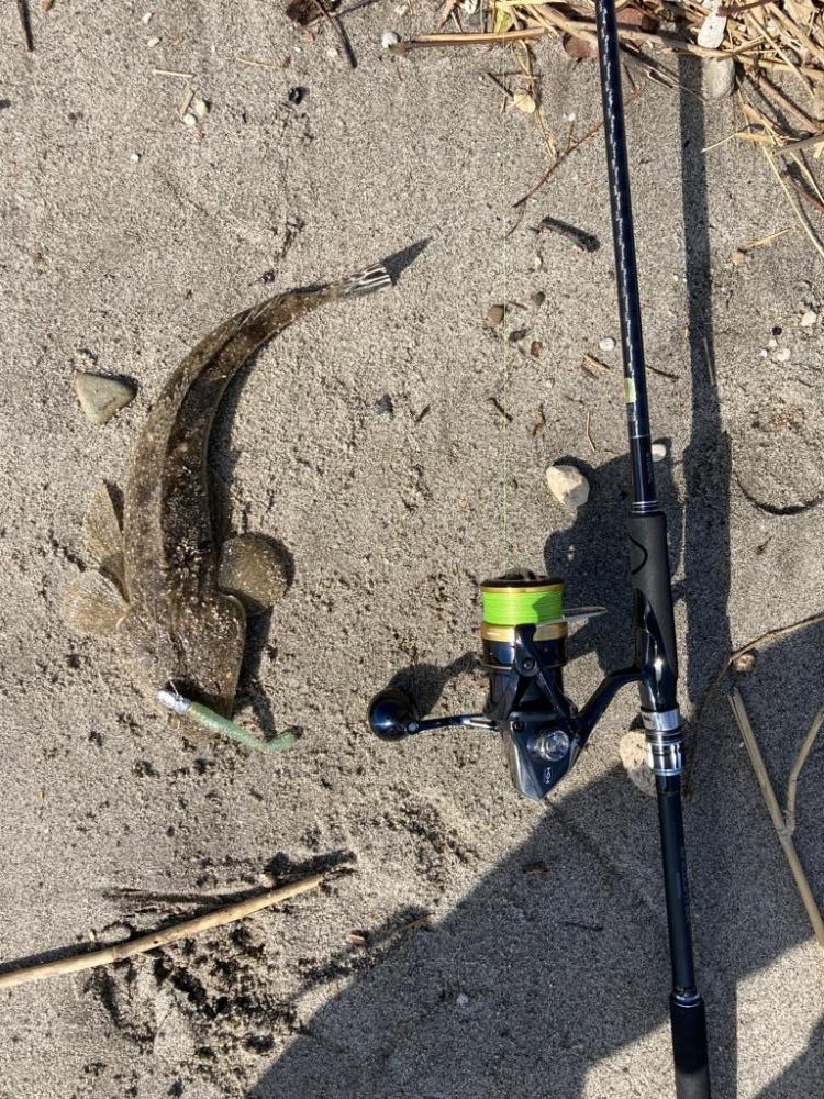 ライトゲームin河口