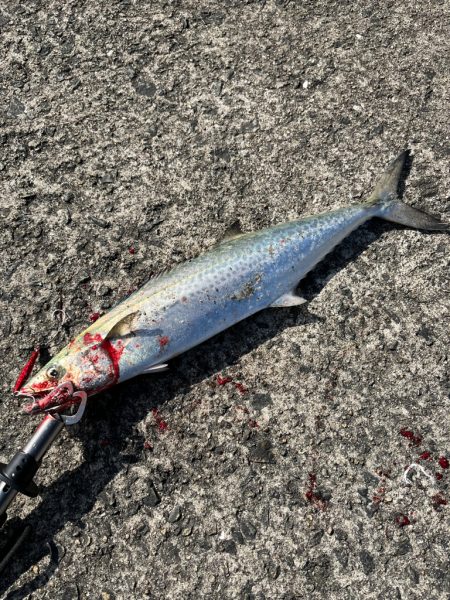 諦めムードの中