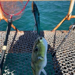 10月ラスト！！