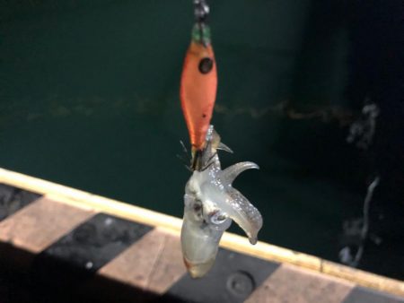 渋いけどいる！