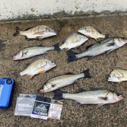 結果、大きい手ごたえ無く