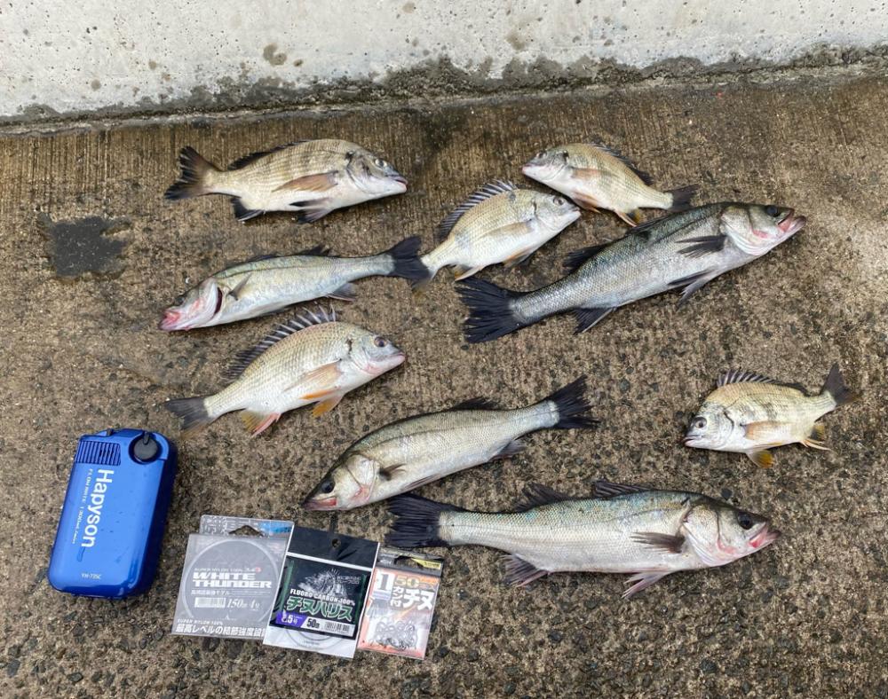 結果、大きい手ごたえ無く