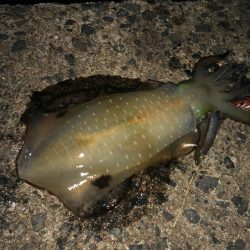 月食を見ながら……