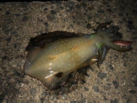 月食を見ながら……