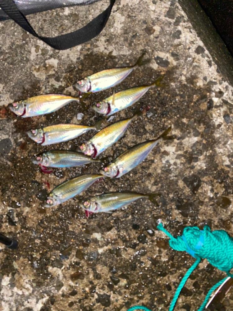 フロートアジングオモロイ