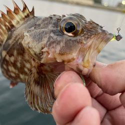 夕まずめポイント捜索