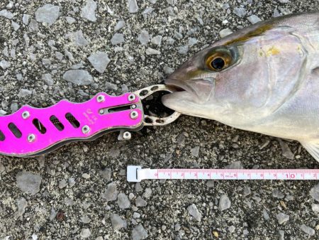 ボイル祭り！（笑）