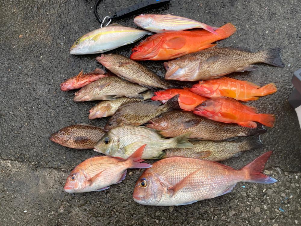 タイラバ五目でアカハタ