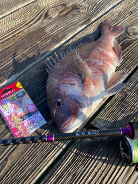 海上釣堀＊海恵