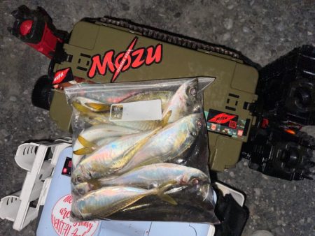 ボートアジング