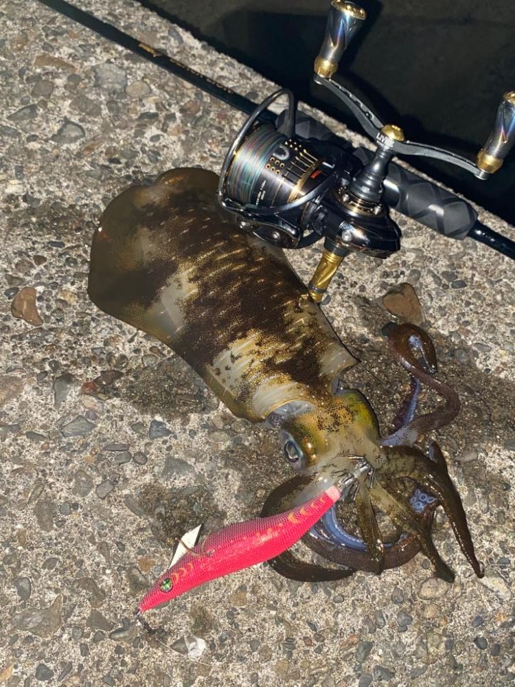 中紀にてエギング♪カワハギ♪