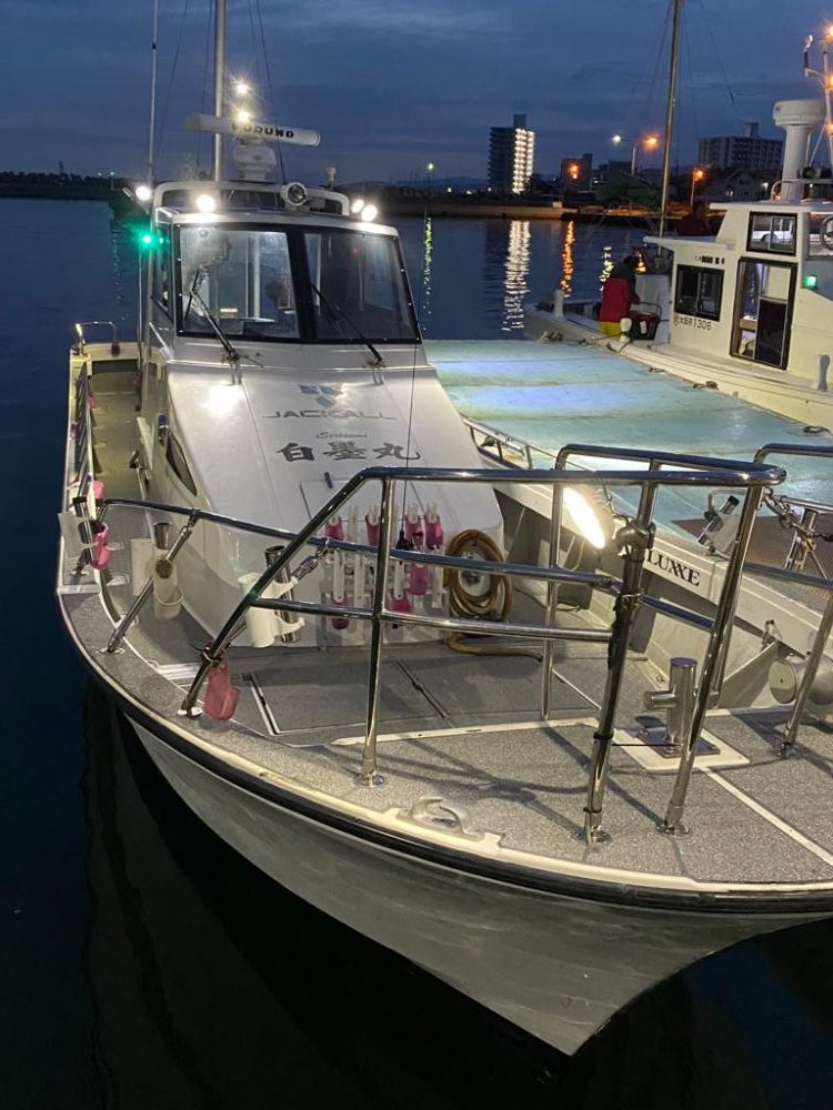 アオリイカキロ足らず