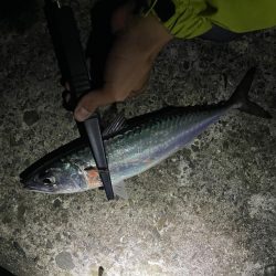 フロートとジグヘッドで釣り