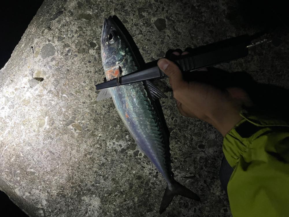 フロートとジグヘッドで釣り