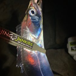 狙いのアジは居なかったけど・・