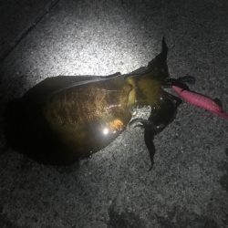 いつもの場所で