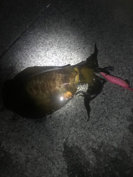 いつもの場所で