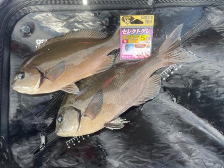 GFG大分・宮崎県支部合同懇親釣り大会